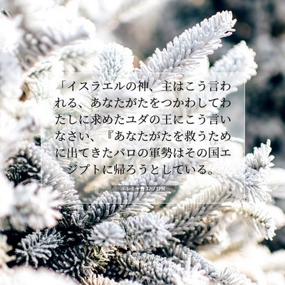 エレミヤ書 37:7 JPN 聖書の一節の画像