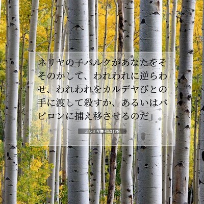 エレミヤ書 43:3 聖書の一節の解説