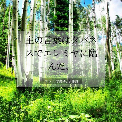 エレミヤ書 43:8 聖書の一節の解説