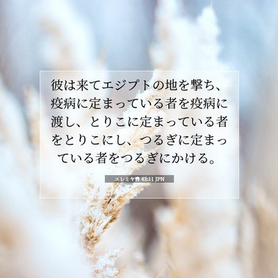 エレミヤ書 43:11 聖書の一節の解説