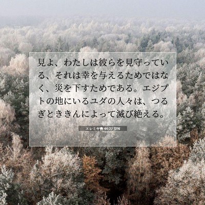 エレミヤ書 44:27 JPN 聖書の一節の画像