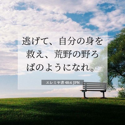エレミヤ書 48:6 聖書の一節の解説