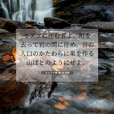 エレミヤ書 48:28 聖書の一節の解説