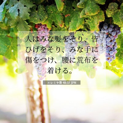 エレミヤ書 48:37 聖書の一節の解説