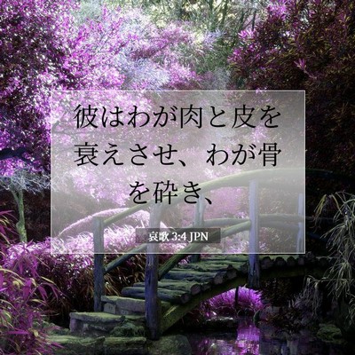 哀歌 3:4 JPN 聖書の一節の画像