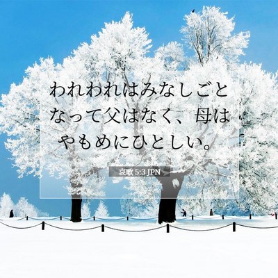 哀歌 5:3 聖書の一節の解説