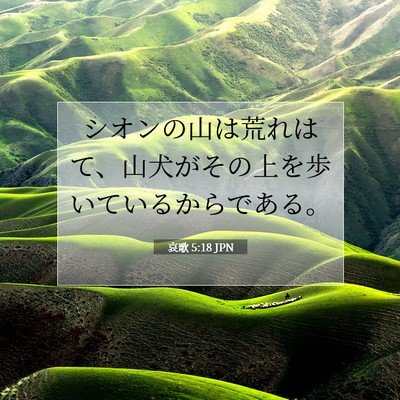 哀歌 5:18 聖書の一節の解説