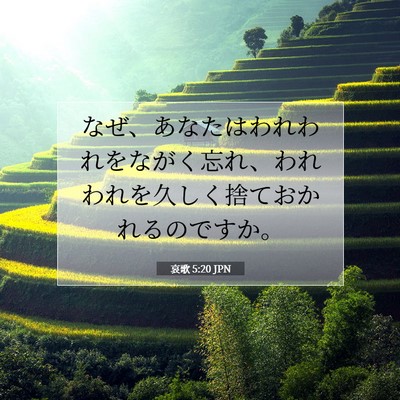 哀歌 5:20 聖書の一節の解説