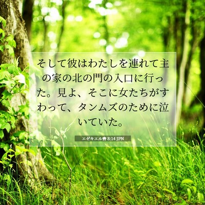 エゼキエル書 8:14 聖書の一節の解説