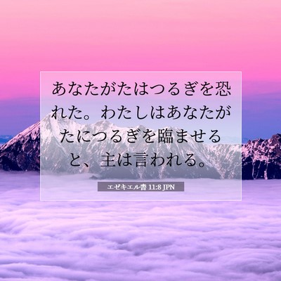 エゼキエル書 11:8 聖書の一節の解説