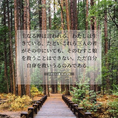 エゼキエル書 14:18 聖書の一節の解説