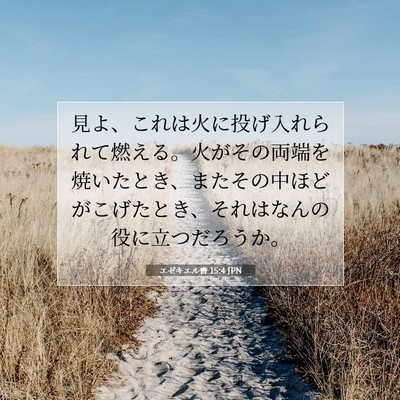 エゼキエル書 15:4 聖書の一節の解説