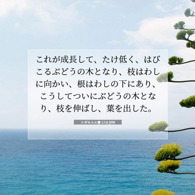 エゼキエル書 17:6 聖書の一節の解説