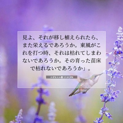 エゼキエル書 17:10 JPN 聖書の一節の画像