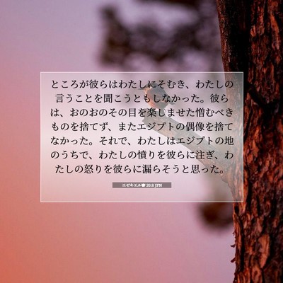 エゼキエル書 20:8 JPN 聖書の一節の画像