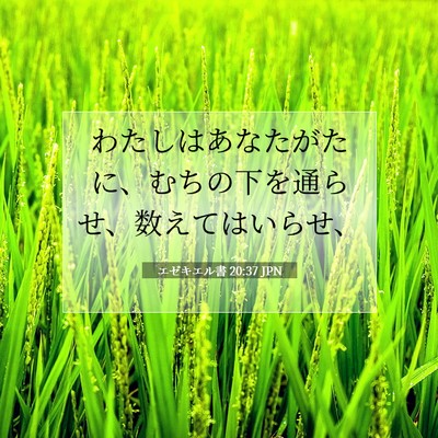 エゼキエル書 20:37 聖書の一節の解説