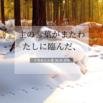 エゼキエル書 20:45 聖書の一節の解説