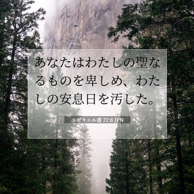 エゼキエル書 22:8 聖書の一節の解説