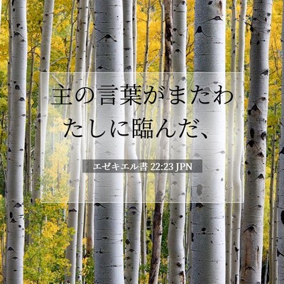 エゼキエル書 22:23 聖書の一節の解説