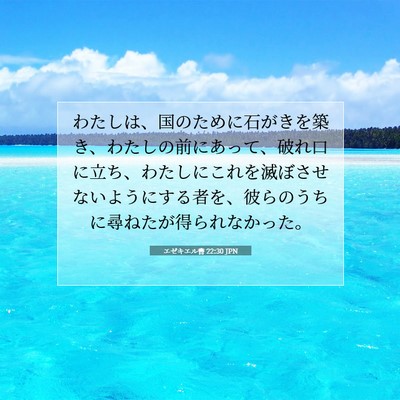エゼキエル書 22:30 聖書の一節の解説