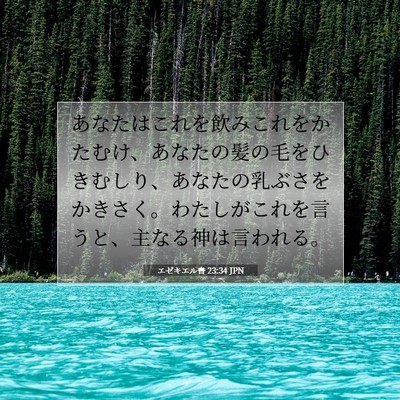 エゼキエル書 23:34 聖書の一節の解説