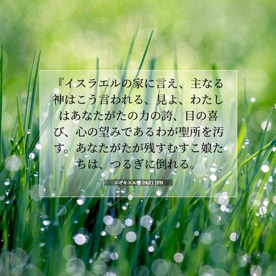 エゼキエル書 24:21 JPN 聖書の一節の画像