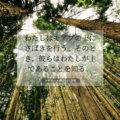 エゼキエル書 25:11 聖書の一節の解説