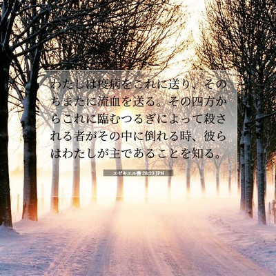 エゼキエル書 28:23 聖書の一節の解説