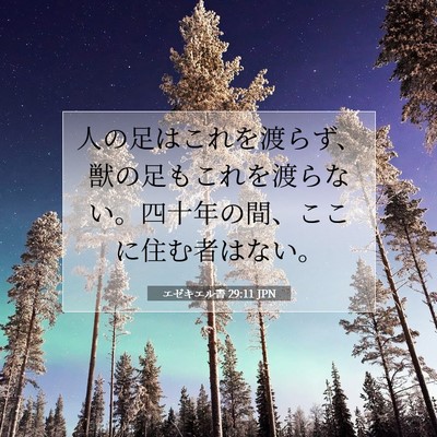 エゼキエル書 29:11 聖書の一節の解説