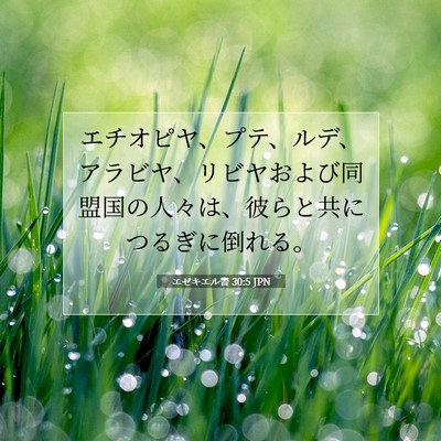 エゼキエル書 30:5 聖書の一節の解説