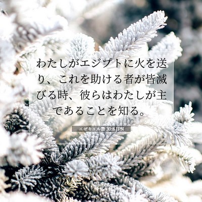エゼキエル書 30:8 JPN 聖書の一節の画像