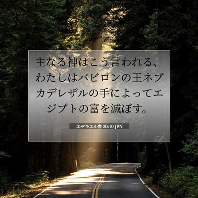 エゼキエル書 30:10 聖書の一節の解説