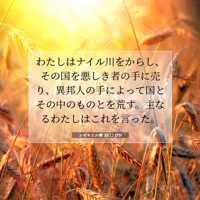エゼキエル書 30:12 聖書の一節の解説