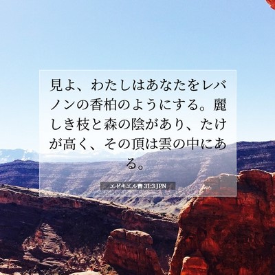 エゼキエル書 31:3 聖書の一節の解説