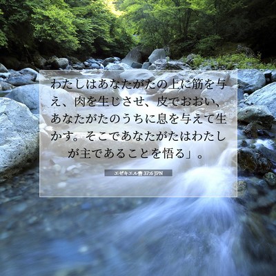 エゼキエル書 37:6 聖書の一節の解説