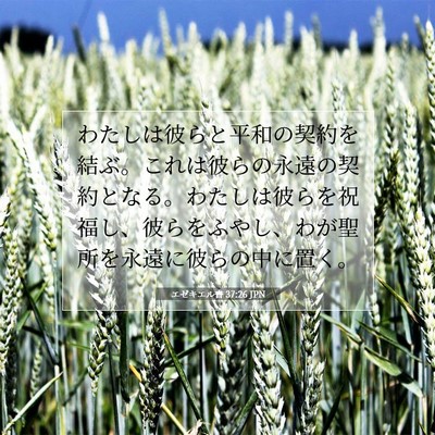エゼキエル書 37:26 JPN 聖書の一節の画像