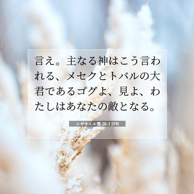 エゼキエル書 38:3 聖書の一節の解説