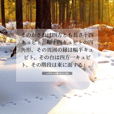 エゼキエル書 43:17 聖書の一節の解説