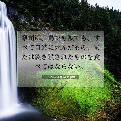 エゼキエル書 44:31 JPN 聖書の一節の画像