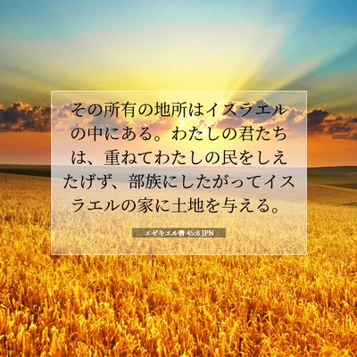 エゼキエル書 45:8 聖書の一節の解説