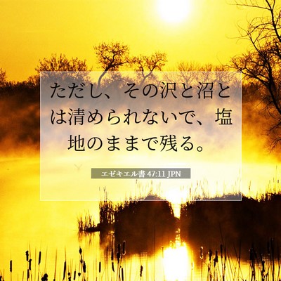 エゼキエル書 47:11 聖書の一節の解説