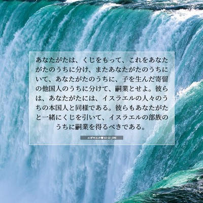 エゼキエル書 47:22 聖書の一節の解説