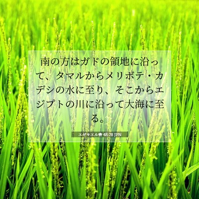 エゼキエル書 48:28 聖書の一節の解説