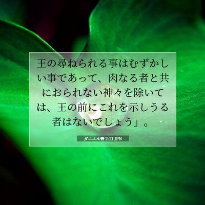 ダニエル書 2:11 聖書の一節の解説