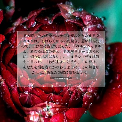 ダニエル書 4:19 聖書の一節の解説