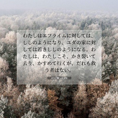 ホセア書 5:14 聖書の一節の解説