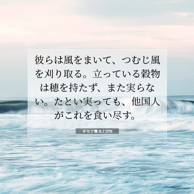 ホセア書 8:7 JPN 聖書の一節の画像