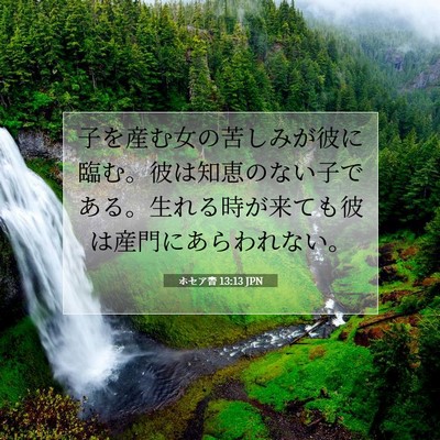 ホセア書 13:13 JPN 聖書の一節の画像