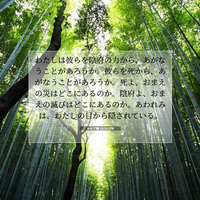 ホセア書 13:14 聖書の一節の解説