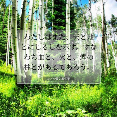 ヨエル書 2:30 聖書の一節の解説